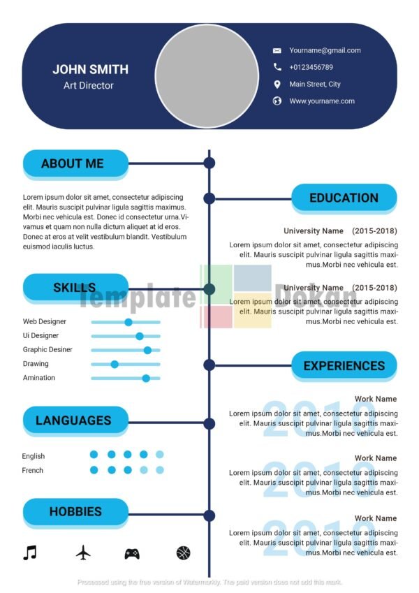 Professional Resume-CV Template 2